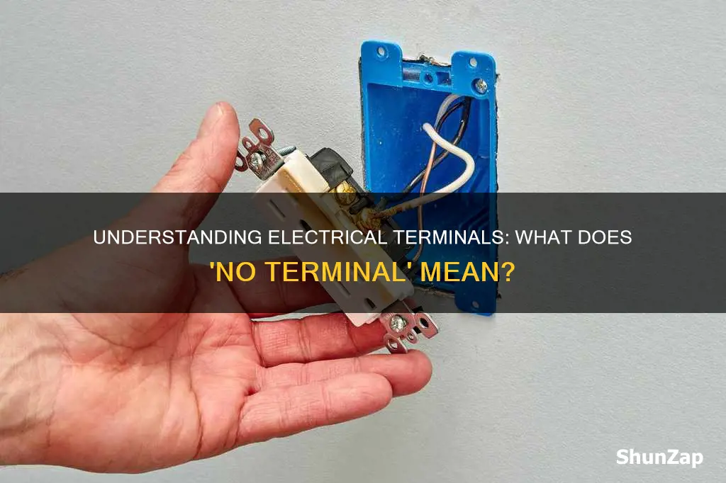 what is mean no terminal in electrical