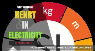 Henry in Electricity: Understanding Self-Inductance