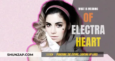 Electra Heart: Understanding the Symbolic Meaning