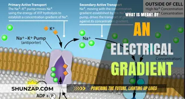 Understanding Electrical Gradients: Powering Cell Function