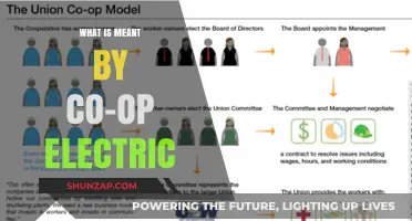 Understanding Co-op Electrics: Powering Communities Together