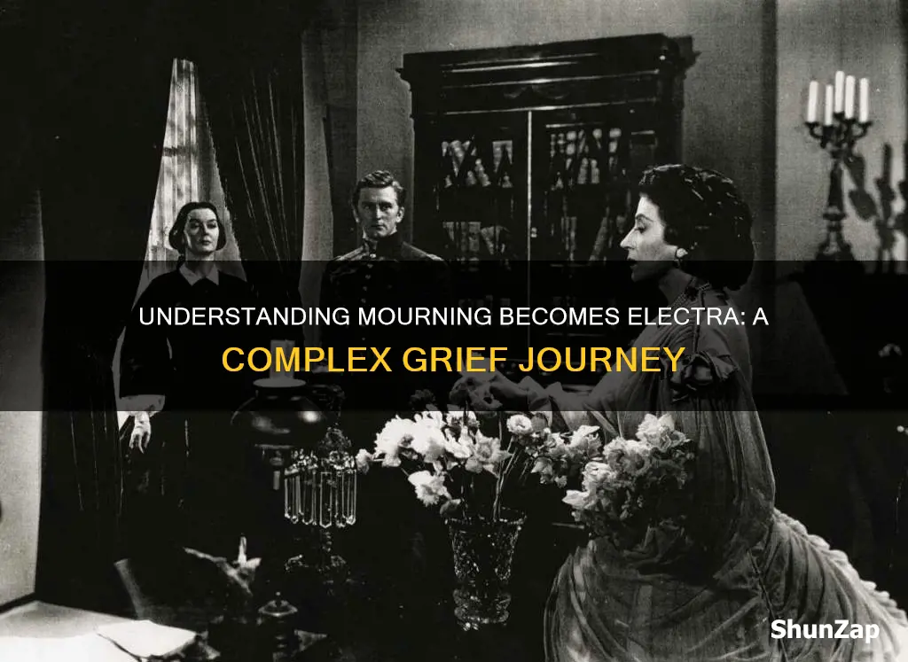 what is meant by mourning becomes electra
