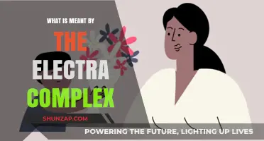Understanding the Electra Complex: Freud's Theory Explained