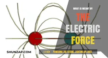 Understanding Electric Force: A Fundamental Concept in Physics