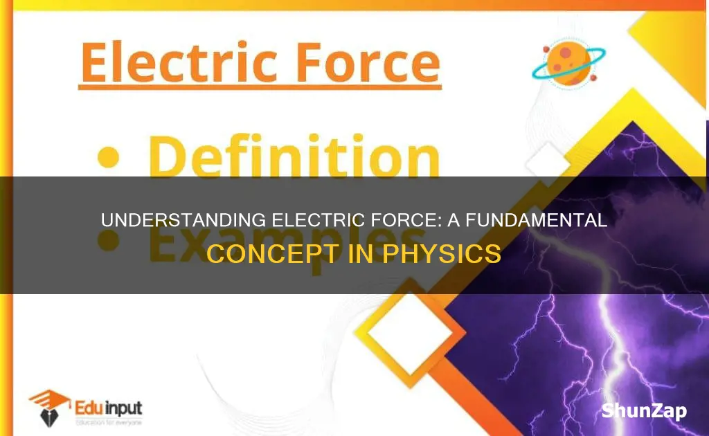 what is meant by the electric force