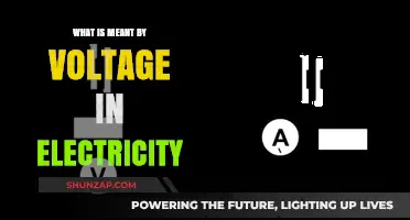 Voltage: Understanding the Electric Potential Difference