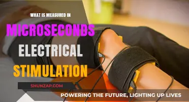 Microsecond Electrical Stimulation: What's the Science?