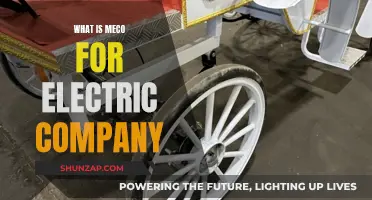 MECO: Powering Electric Companies and Their Future Plans
