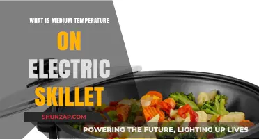 Ideal Electric Skillet Temperature for Cooking