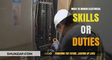 Electrical Basics: Simple Skills, Essential Knowledge