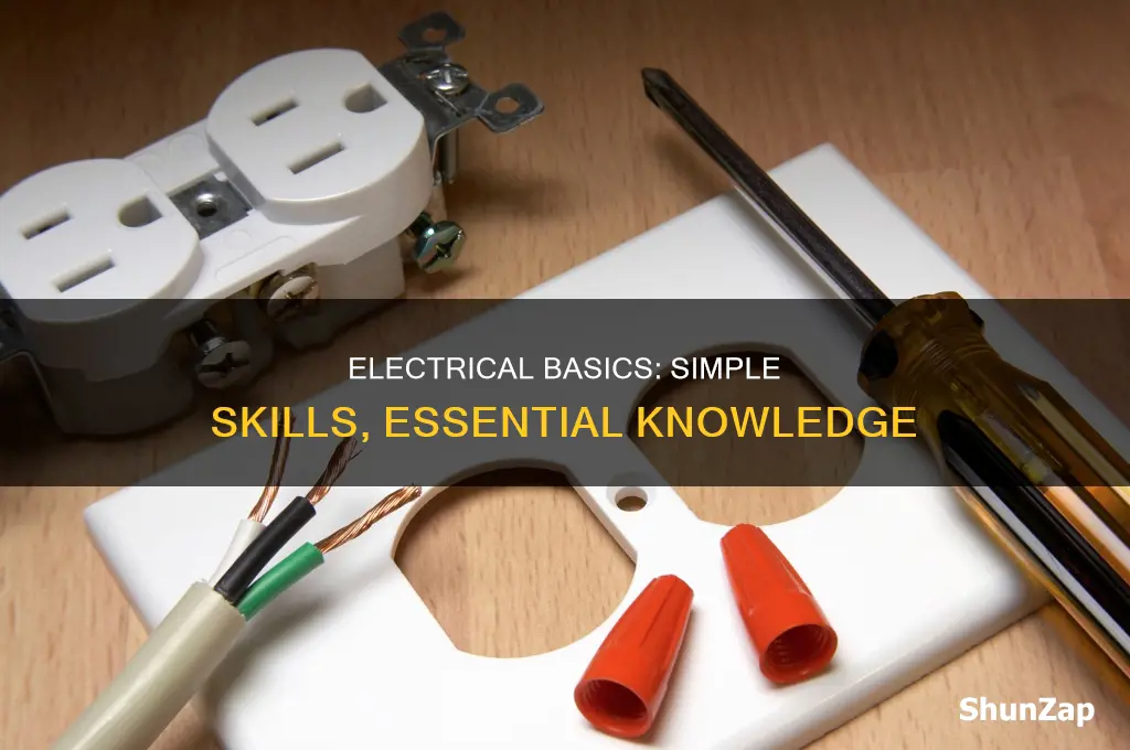 what is minor electrical skills or duties