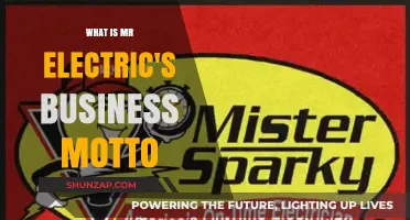 Mr. Electric's Core Business Motto: Expertise and Trust