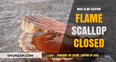 Why Electric Flame Scallops Close