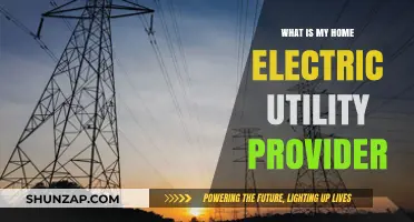 Switching Home Electric Utility Providers: What You Need to Know