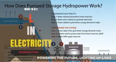 Understanding NEL: The Basics of Electricity
