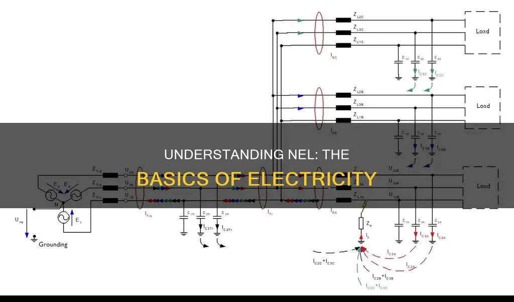 what is n e l in electricity