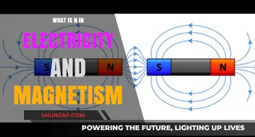 Understanding the Intricacies of 'N' in Electromagnetism