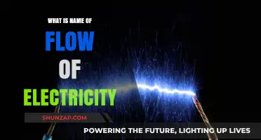 Electric Current: The Flow of Electricity
