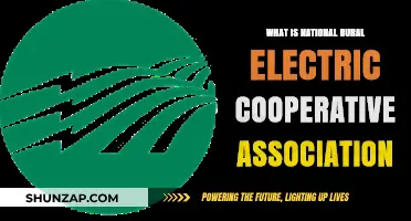 Electric Cooperatives: Powering Rural America