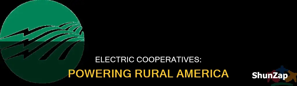 what is national rural electric cooperative association