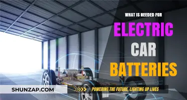 Essential Components for Efficient and Sustainable Electric Car Batteries