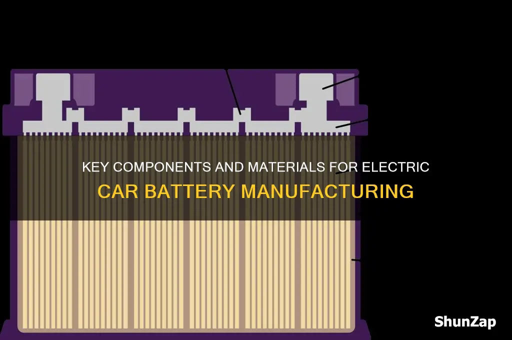 what is needed to make an electric car battery
