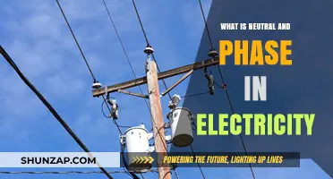 Understanding Electricity: Neutral and Phase Explained