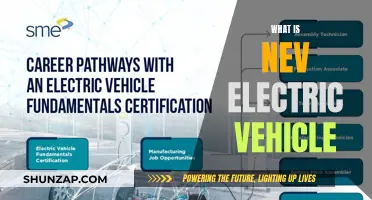 Unveiling the Power of NEV: Electric Vehicle Revolution