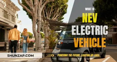 The Future of Electric Vehicles: NEV Explained