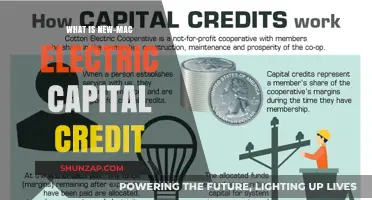 Electric Capital Credit: New-Mac's Innovative Financing