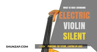 Electric Violin Silence: A Beautiful, Quiet Experience