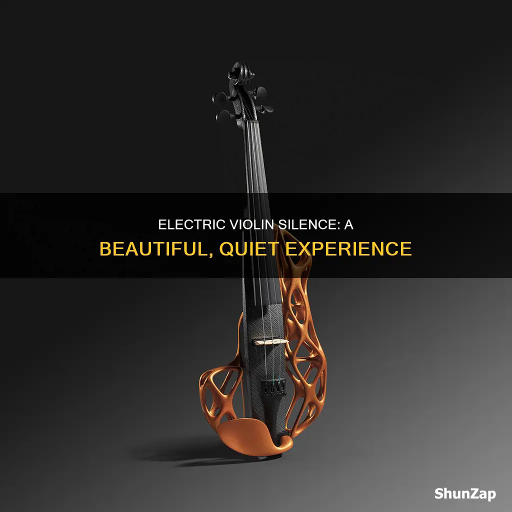 what is nice-sounding electric violin silent