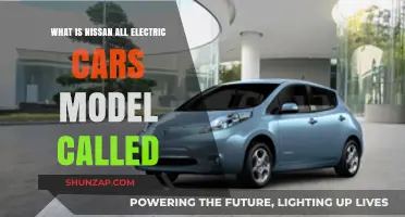 Discover Nissan's All-Electric Car Model Name and Features