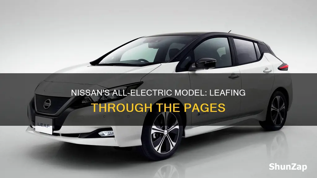 what is nissan all electric model called