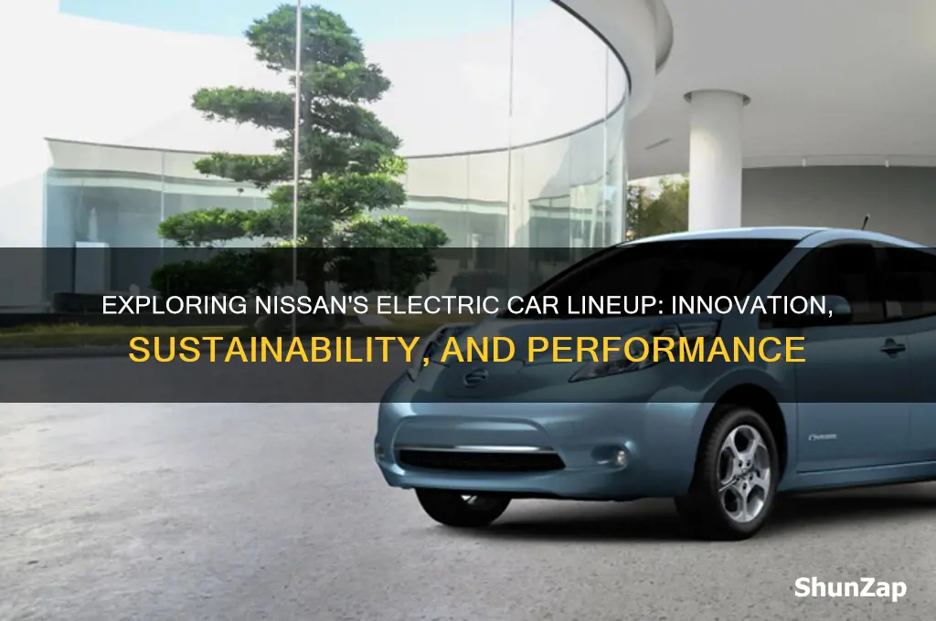 what is nissan