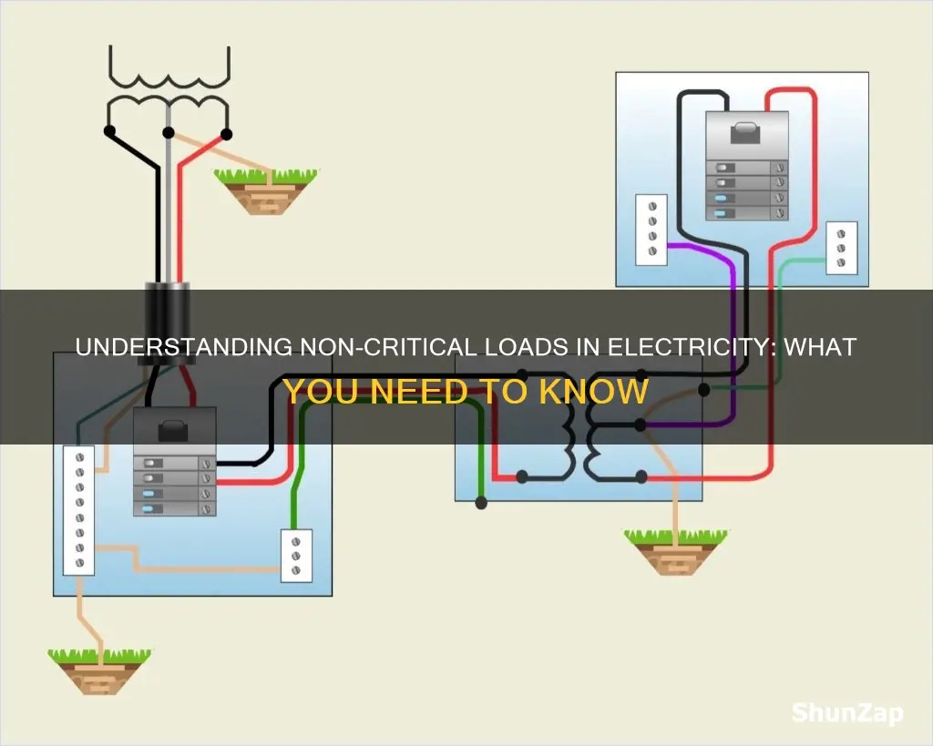 what is non critical load in electricity