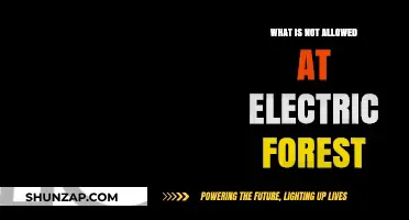 Electric Forest: What's Off the Menu?