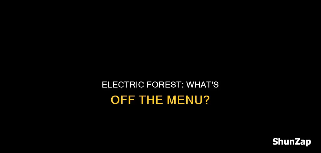 what is not allowed at electric forest