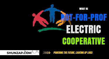 Electric Cooperatives: Powering Communities, Not Profits