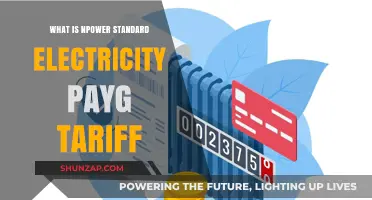 PAYG Tariff: Npower Standard Electricity Explained