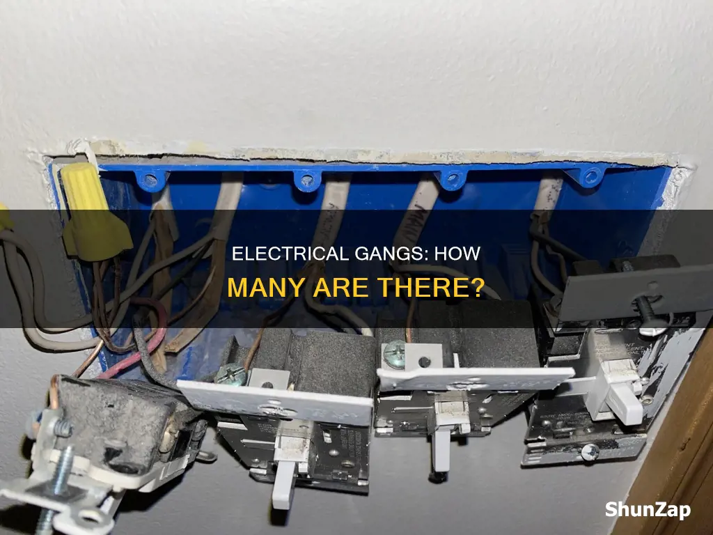 what is number of gangs in electrical