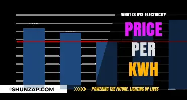 Understanding New York's Electricity Pricing