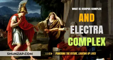 Understanding Oedipus and Electra Complexes: Explained