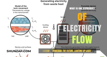 Electricity's Hidden Cost: Understanding Flow's Byproduct