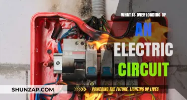 Electric Circuit Overloading: Understanding the Risks and Dangers