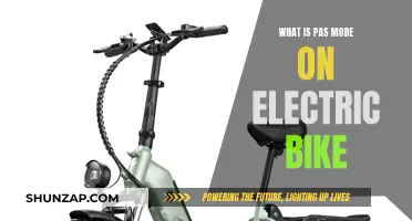 PAS Mode on Electric Bikes: How Does It Work?