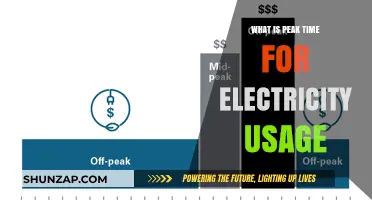 Understanding Electricity Usage: Peak Time Insights