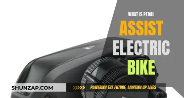 Pedal-Assist Electric Bikes: How Do They Work?