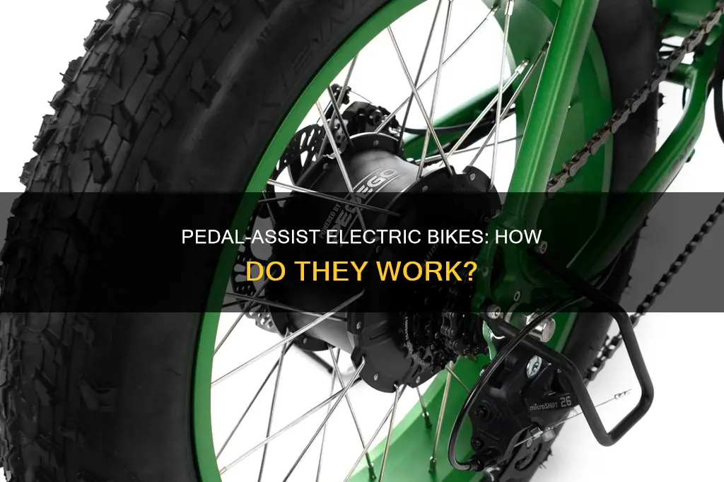 what is pedal assist electric bike