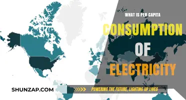 Understanding Electricity Consumption Per Person